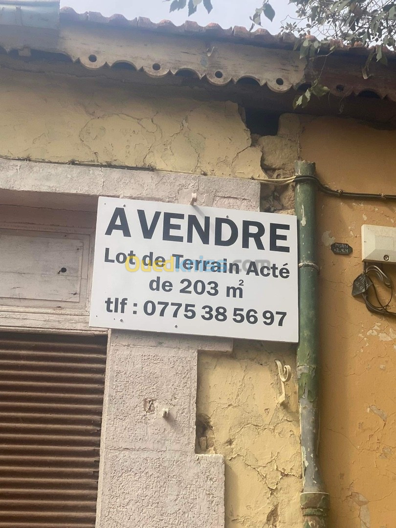 Vente Terrain Tiaret Sougueur