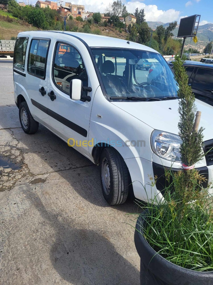 Fiat Doblo 2014 Multjer