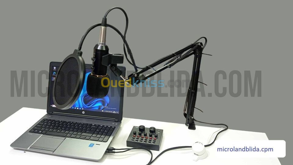 microphone professionnelle m800u avec carte son v8