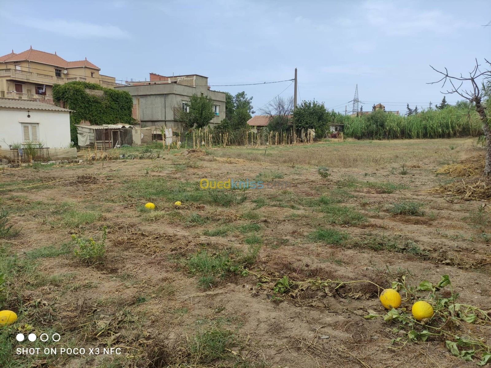 Vente Terrain Boumerdès Djinet