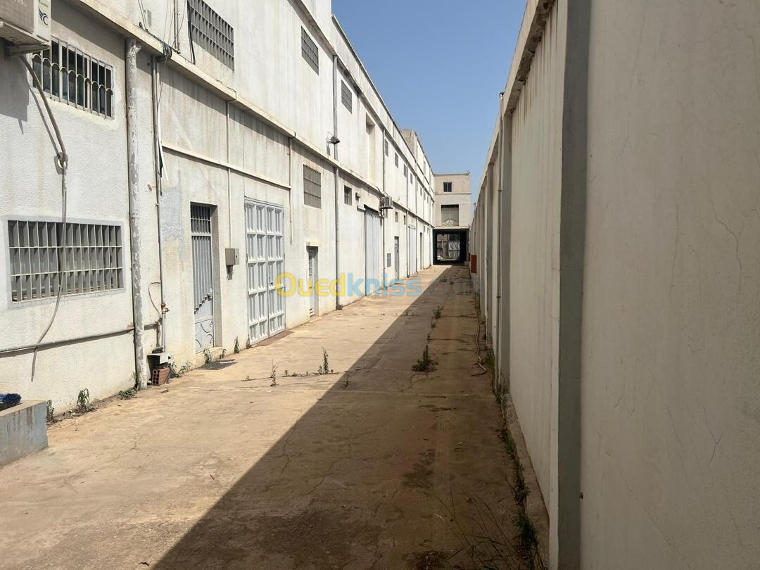 Location Usine Alger Dar el beida