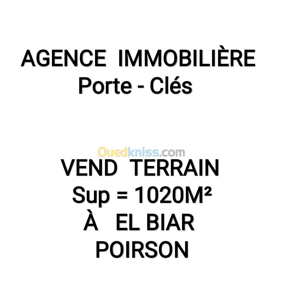 Vente Terrain Alger El biar