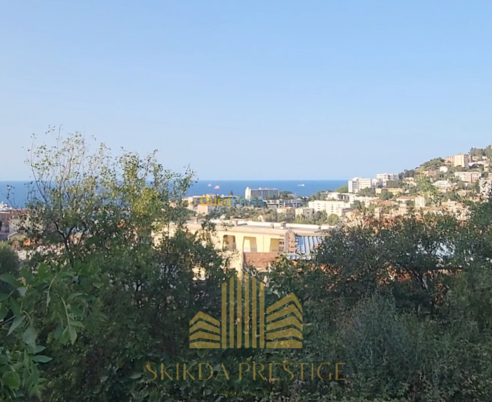 Vente Terrain Skikda Skikda