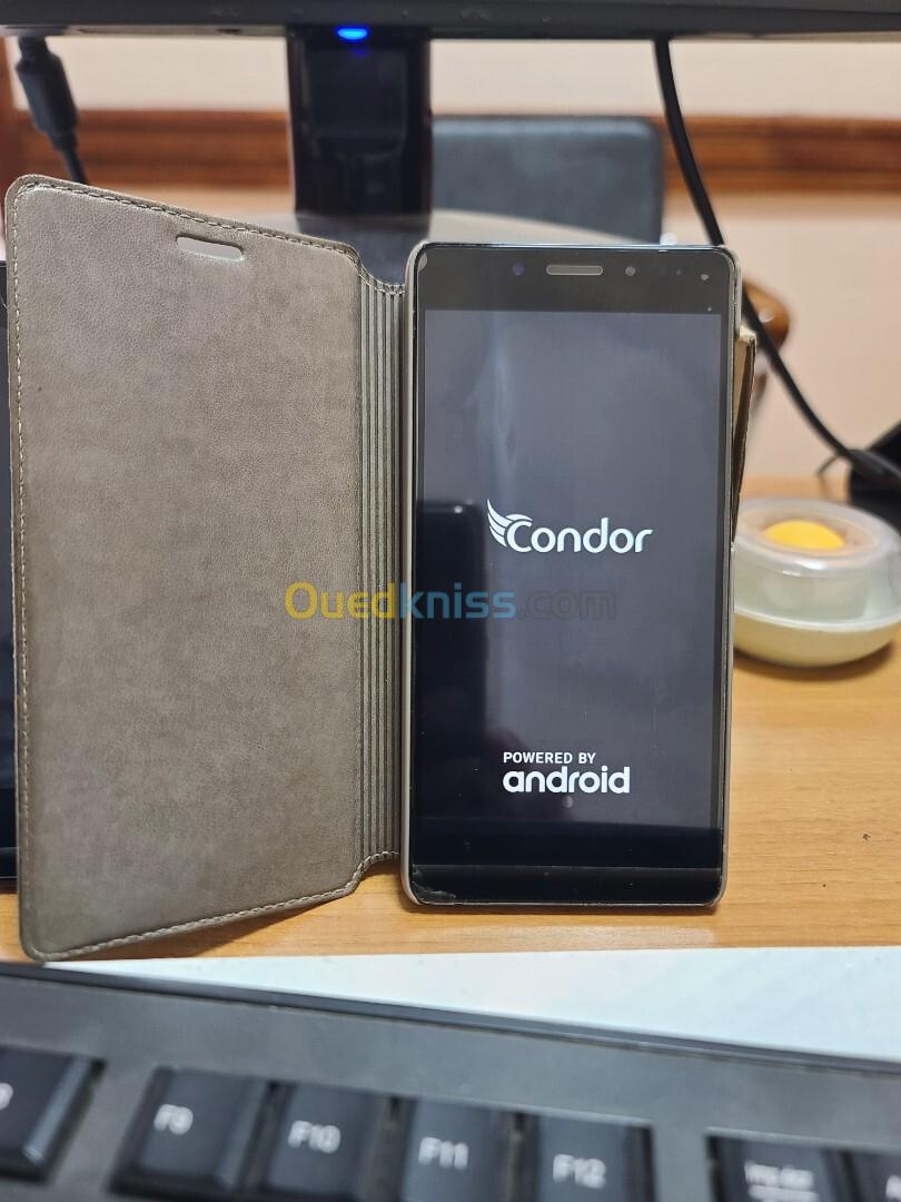 Condor Plume H1