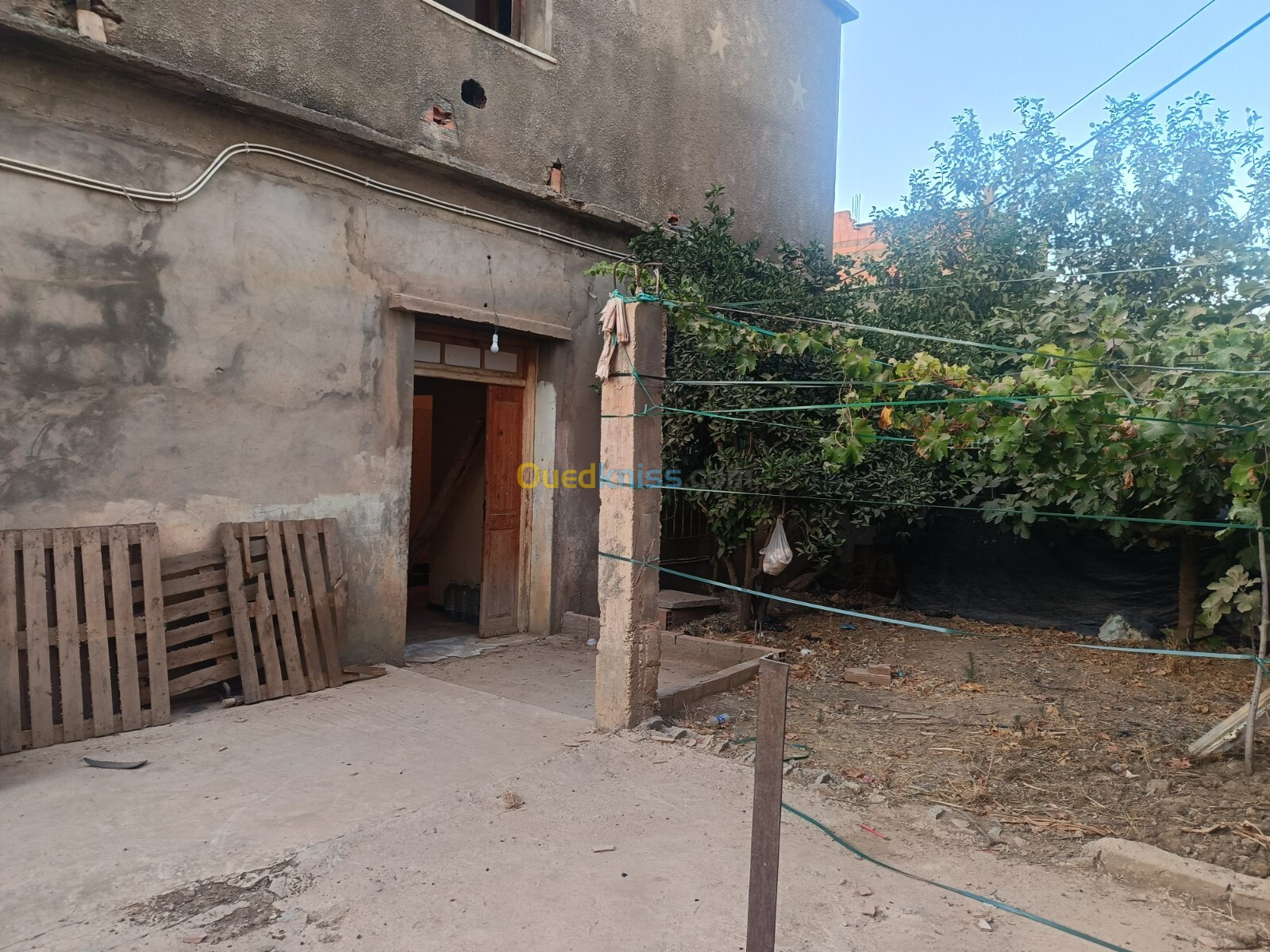 Vente Villa Blida Ouled selama