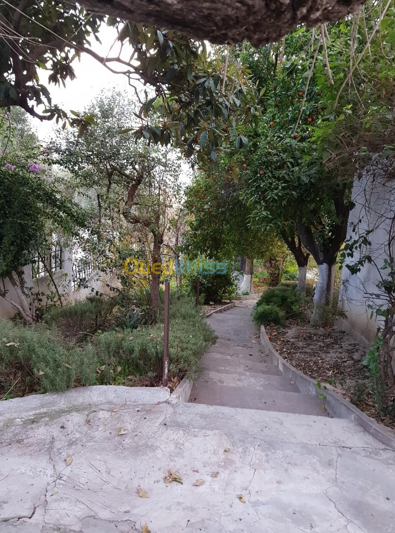 Vente Villa Alger Sidi mhamed