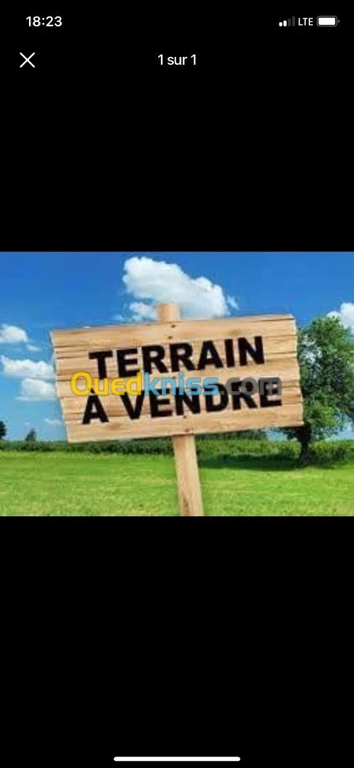 Vente Terrain Bouira El hachimia