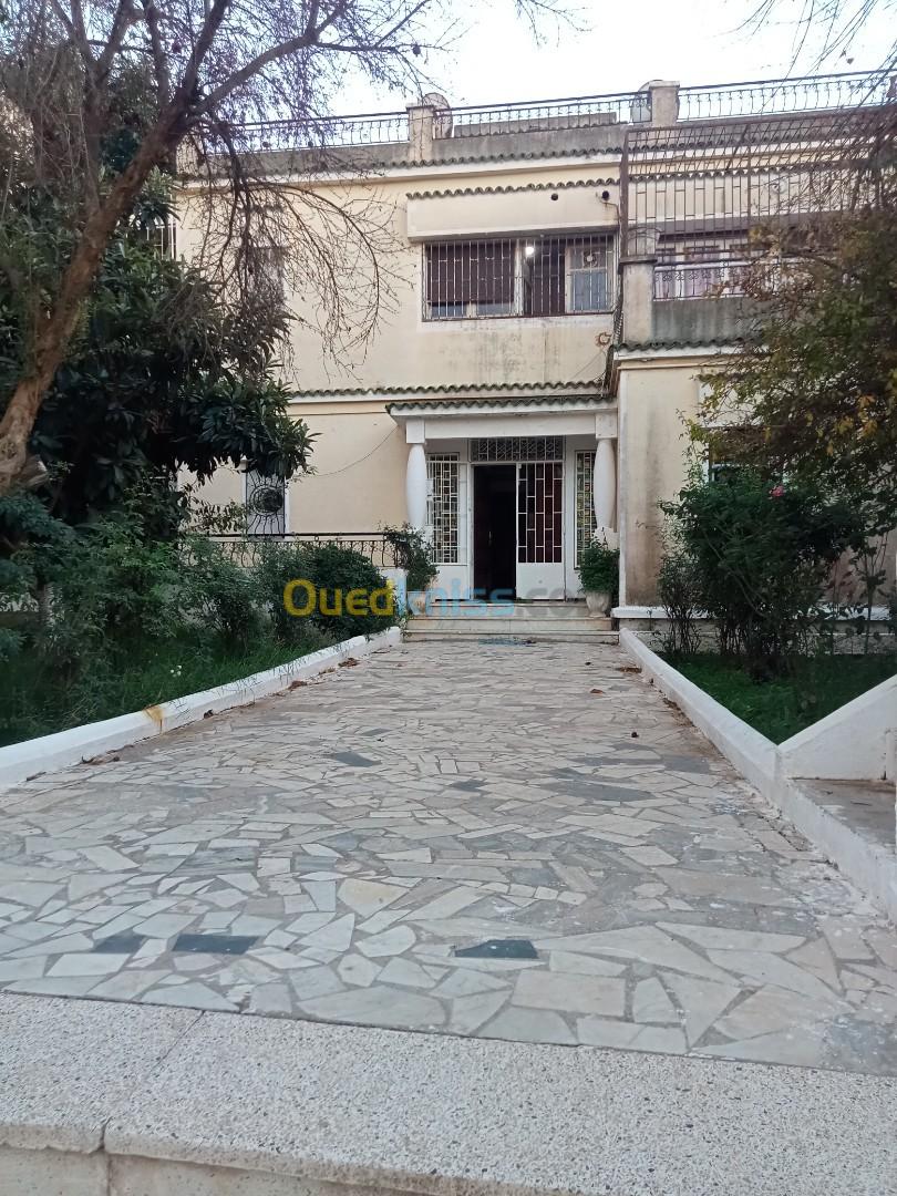 Vente Villa Alger Birkhadem