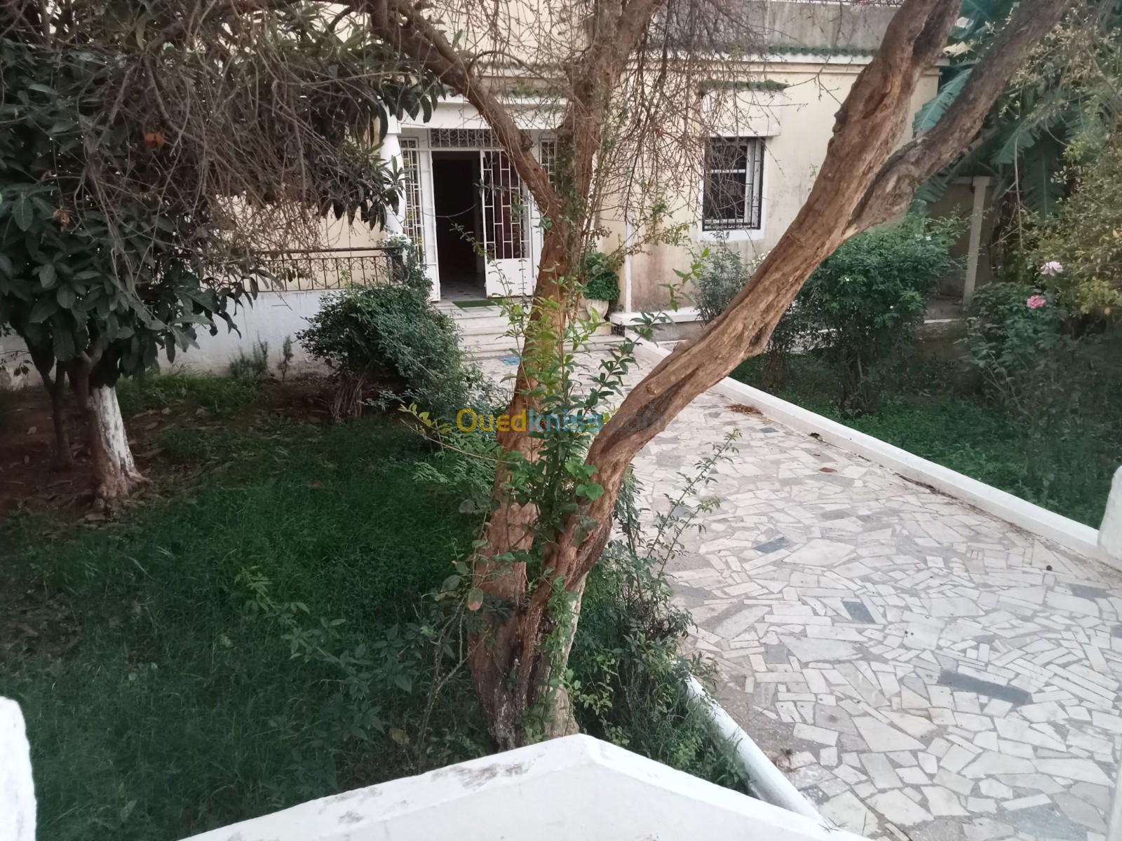 Vente Villa Alger Birkhadem