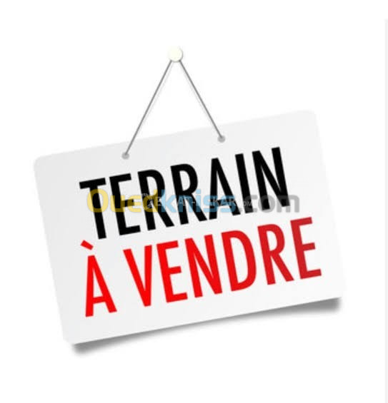 Vente Terrain Alger Bordj el bahri