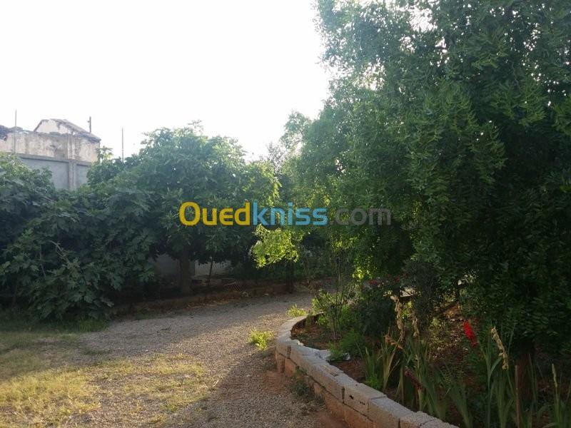 Vente Villa Ain temouchent Hassi el ghella