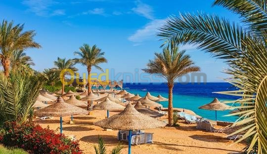 VOYAGE A LA CARTE SHARM EL SHEIKH