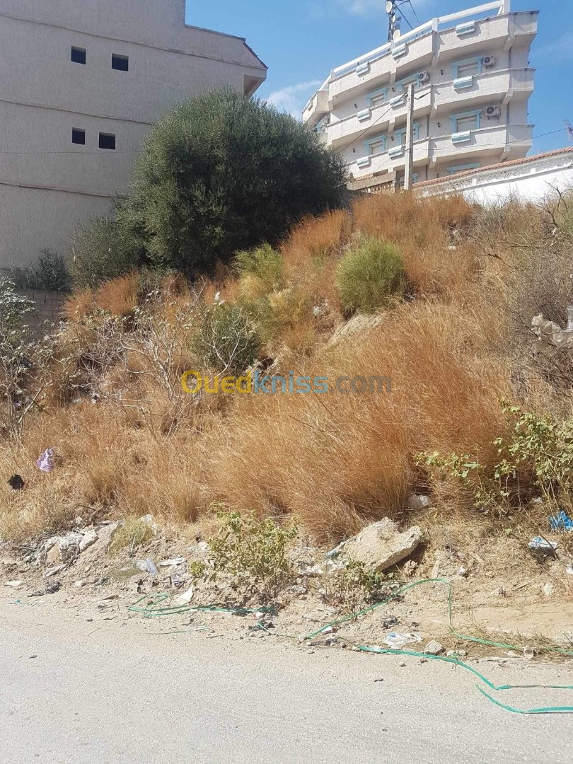 Vente Terrain Annaba Annaba