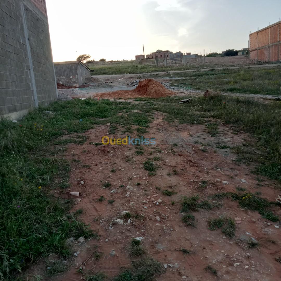 Vente Terrain Mostaganem Sayada