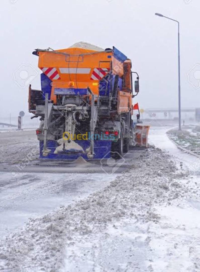 Sel de déneigement 