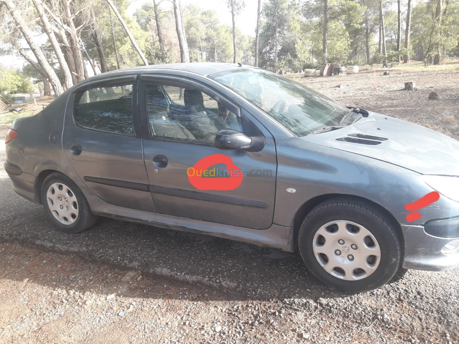 Peugeot 206 Sedan 2008 