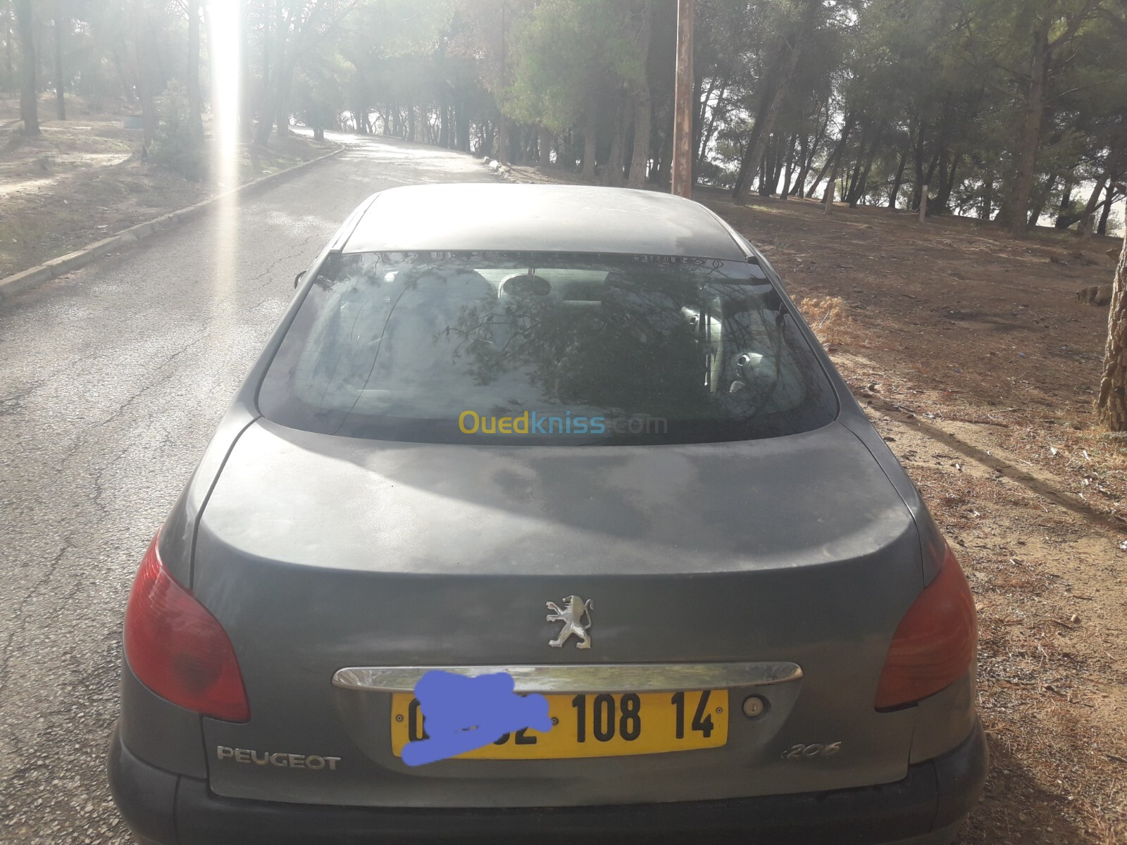 Peugeot 206 Sedan 2008 