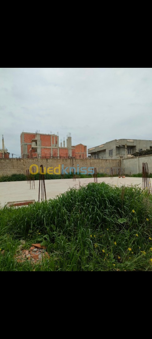 Vente Terrain Alger Ouled chebel