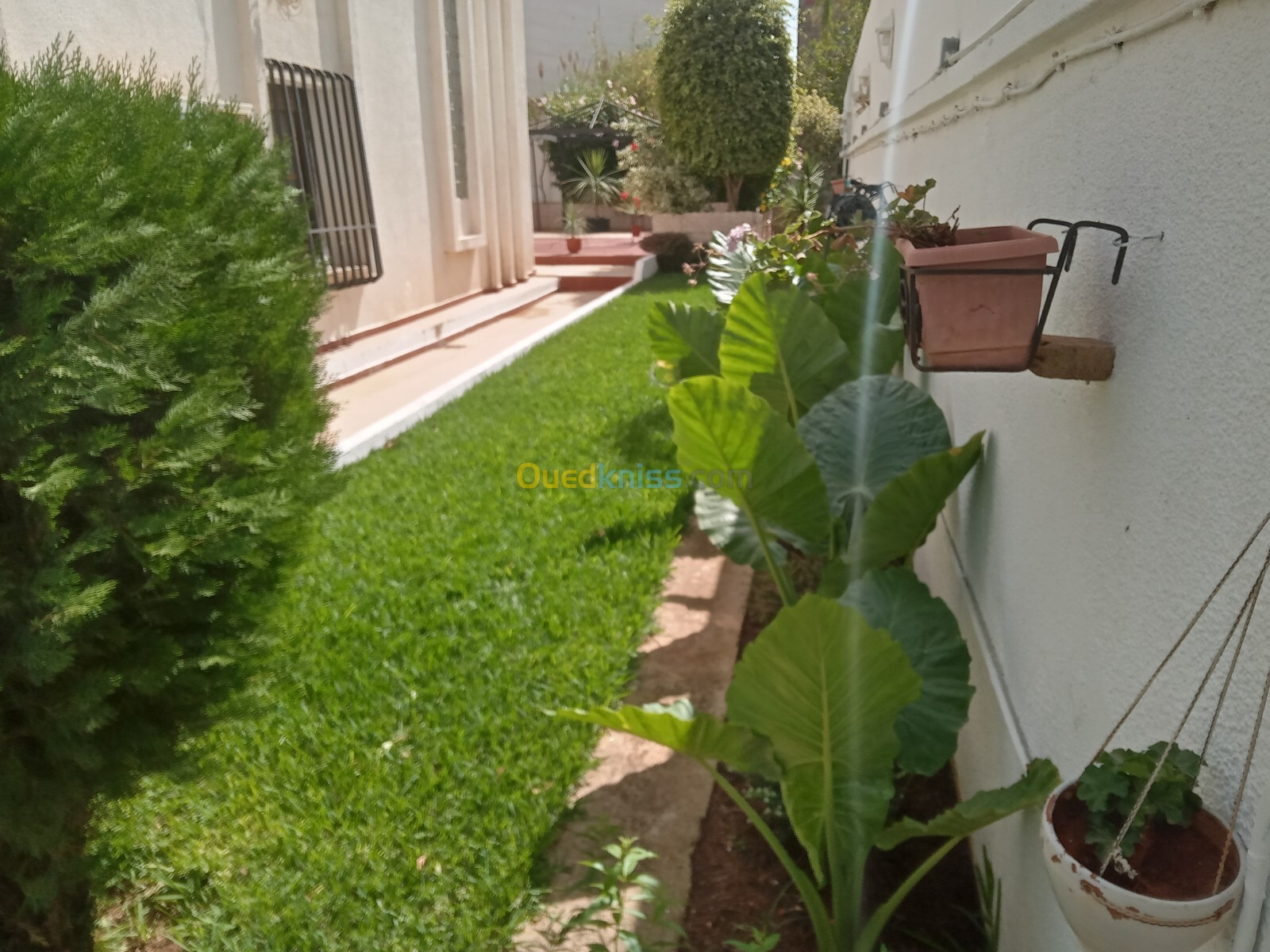 Vente Villa Alger Cheraga