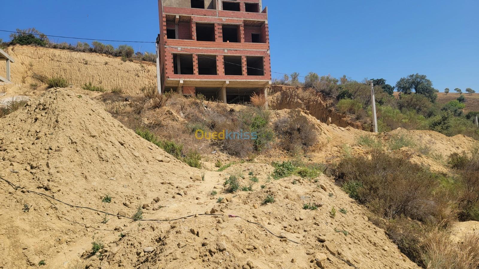 Vente Terrain Skikda El Hadaiek