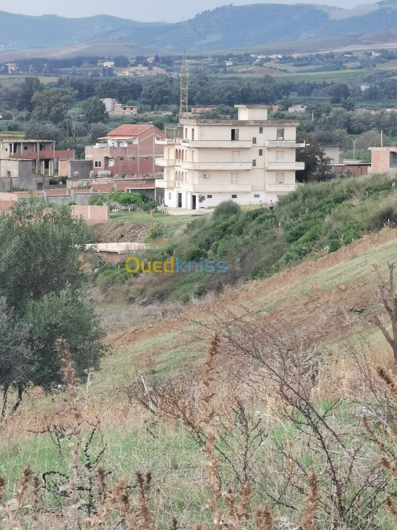 Vente Terrain Boumerdès Bordj menaiel