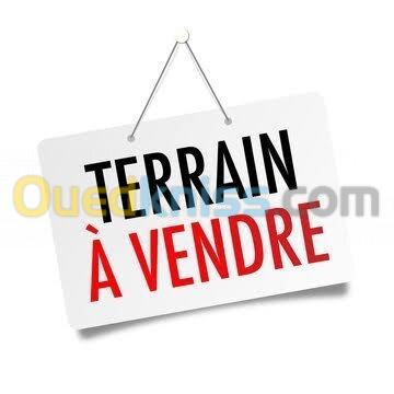 Vente Terrain Alger Said hamdine