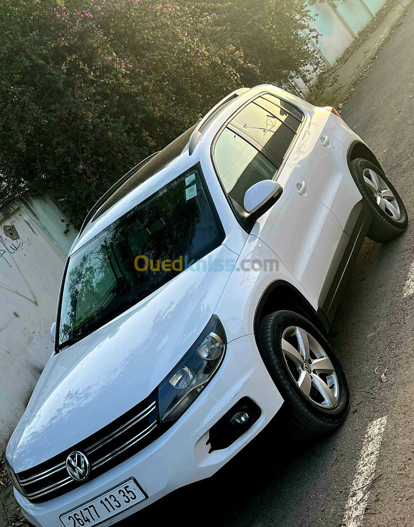 Volkswagen Tiguan 2013 Style