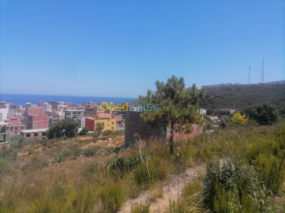 Vente Terrain Jijel Jijel