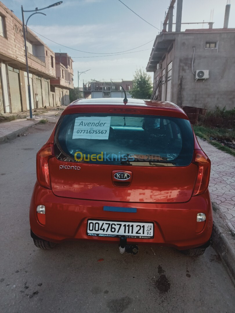 Kia Picanto 2011 Bob