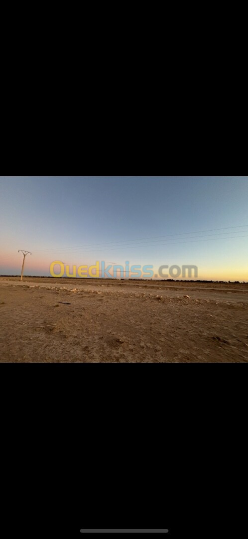 Location Terrain Djelfa Ain oussara