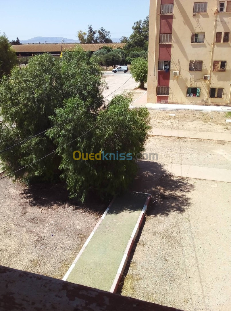 Vente Appartement F4 Tlemcen Maghnia