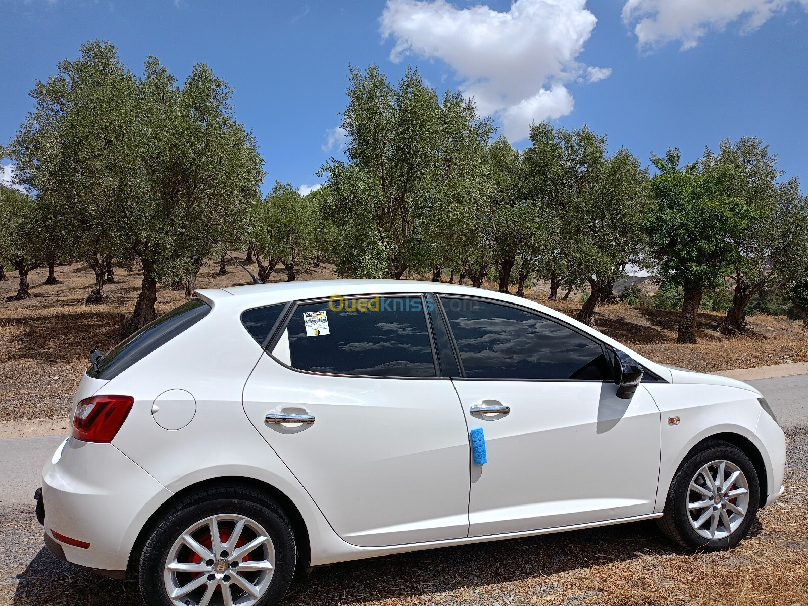 Seat Ibiza 2012 Fully