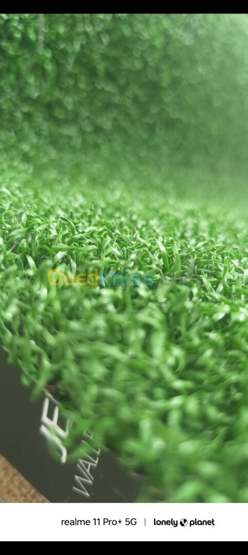 Tapis vert 4m large