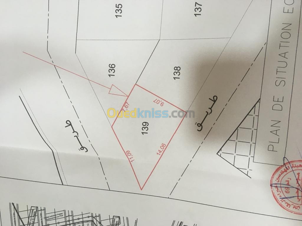 Vente Terrain Tlemcen Maghnia