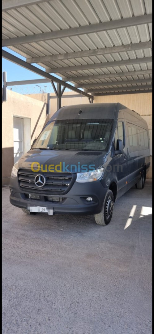 Sprinter Mercedes 2024