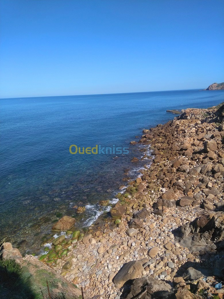 Vente Terrain Bejaia Toudja