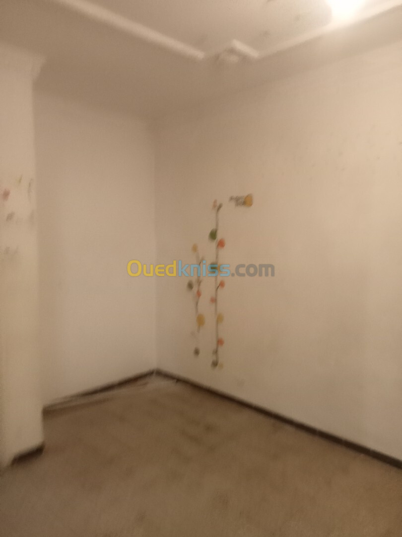 Location Appartement F3 Alger Ain naadja