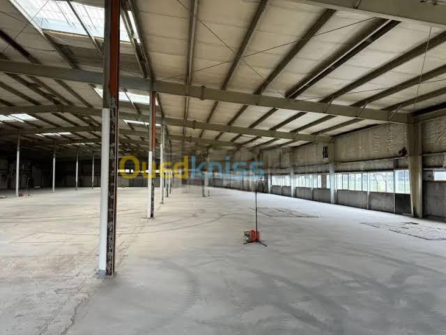 Location Hangar Oran Oran