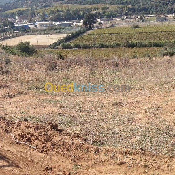 Vente Terrain Boumerdès El kharrouba