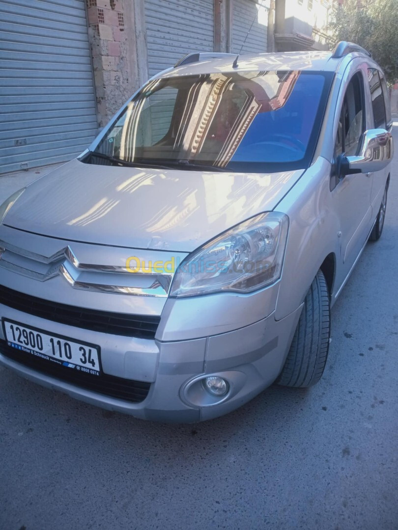 Citroen Berlingo 2010 Berlingo