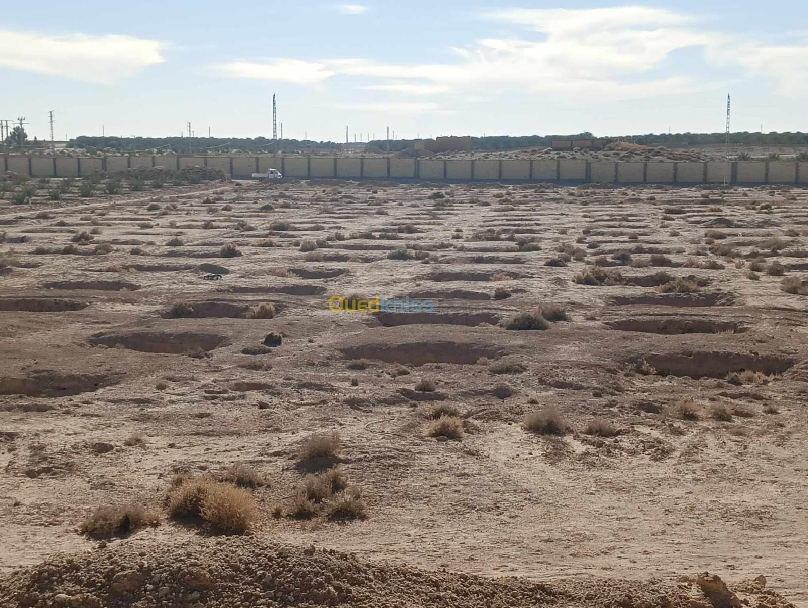 Vente Terrain Agricole Biskra El ghrous