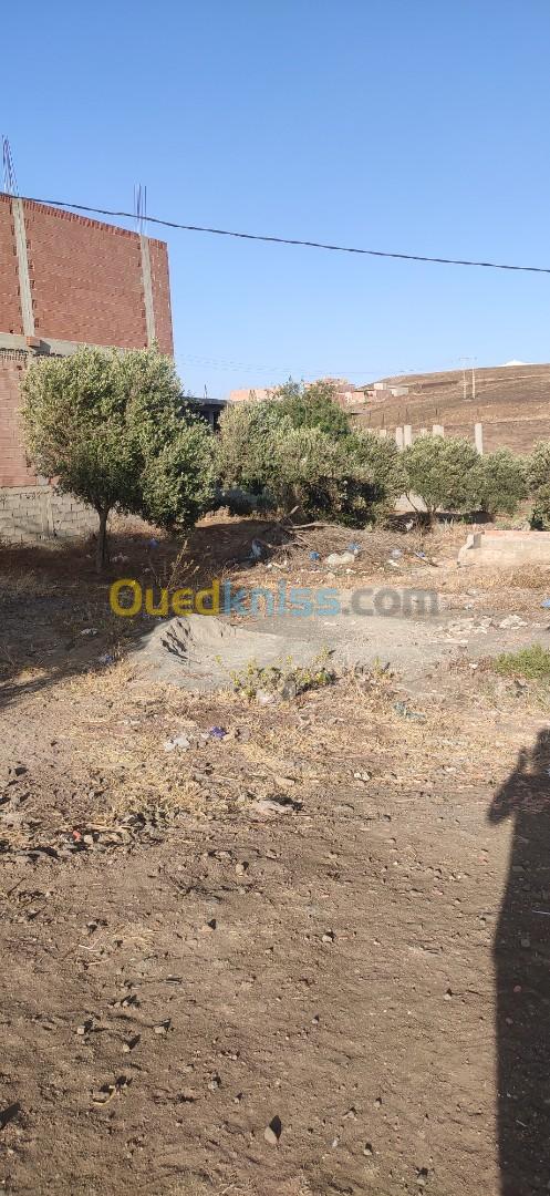 Vente Terrain Aïn Témouchent Oulhaca el gheraba