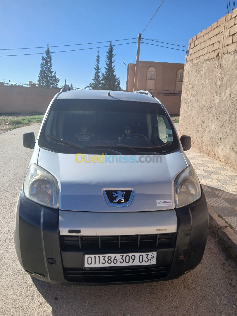 Peugeot Bipper 2009 Tepee