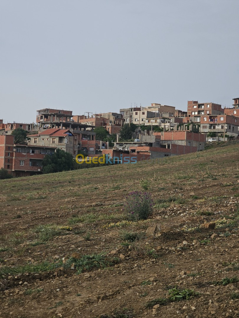 Vente Terrain Boumerdès Larbatache