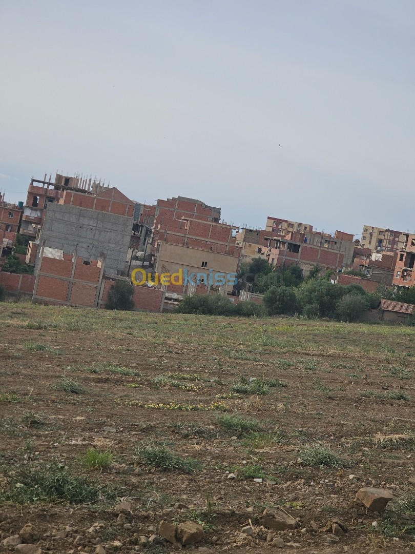 Vente Terrain Boumerdès Larbatache