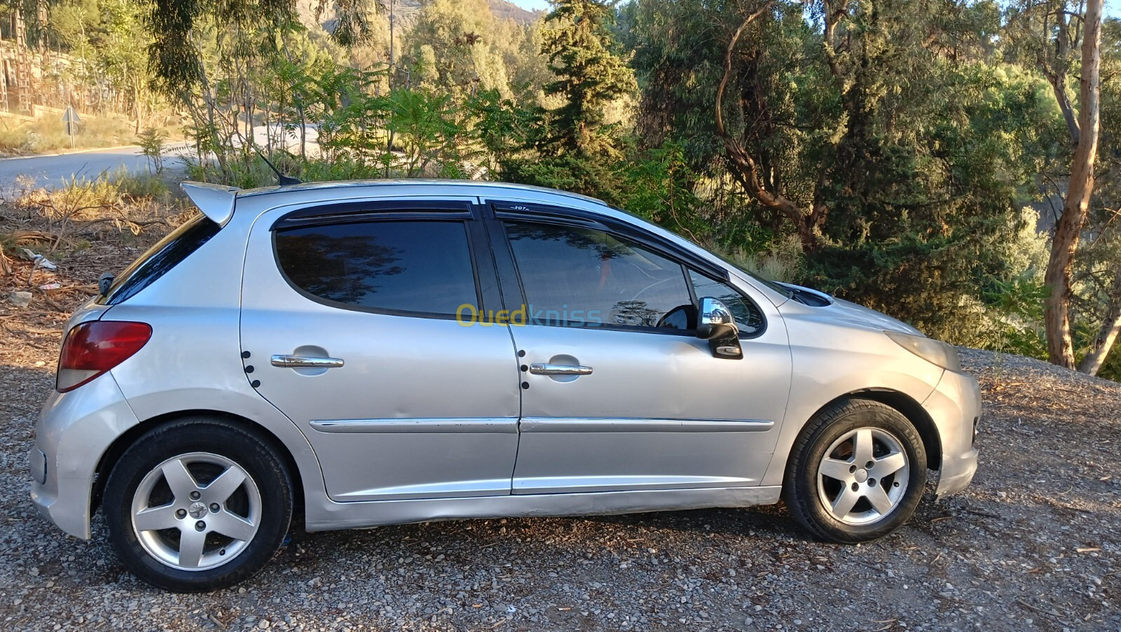 Peugeot 207 2011 207