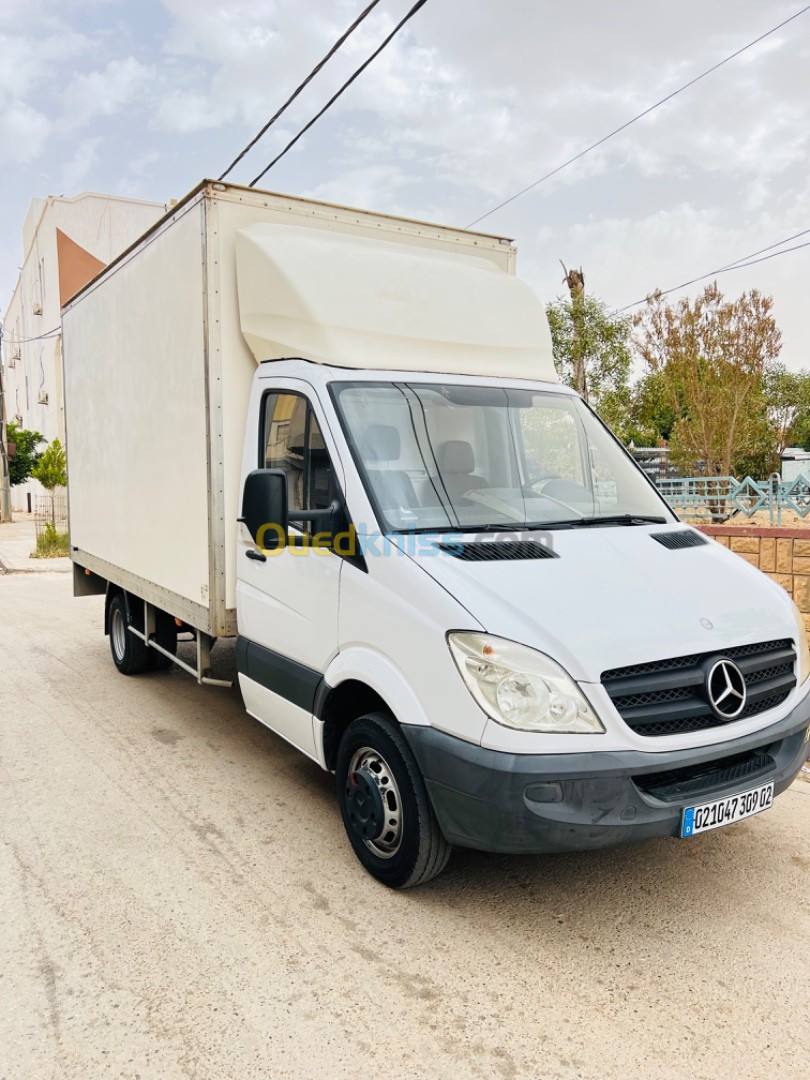 Mercedes sprinter 516 conteneur 2009