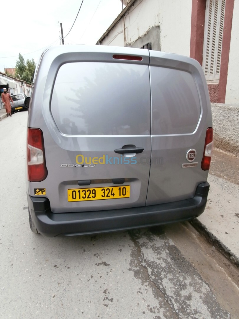 Fiat DOBLO 2024 Professional