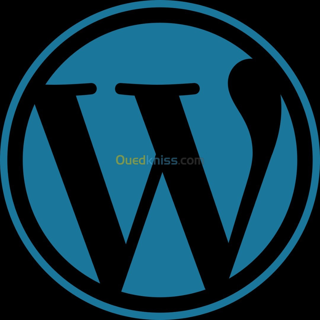 WordPress Developer