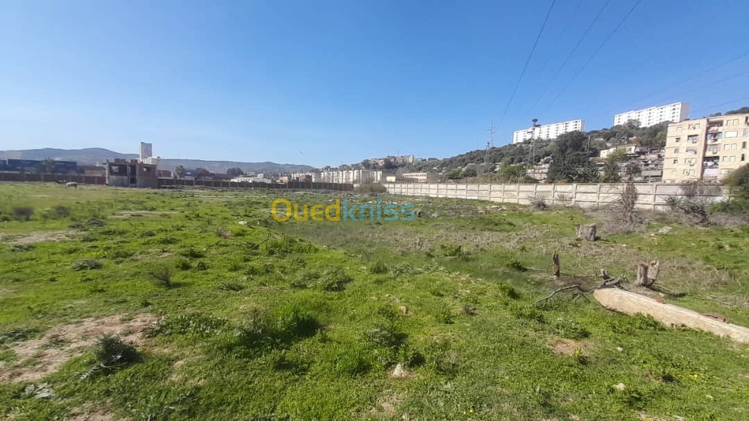 Vente Terrain Skikda Hamadi krouma